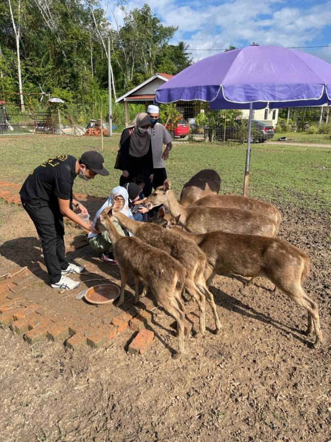 Branda Kampung Sumpitan Lenggong Tiada Sungai Kampong Ulu Jepai Exterior foto
