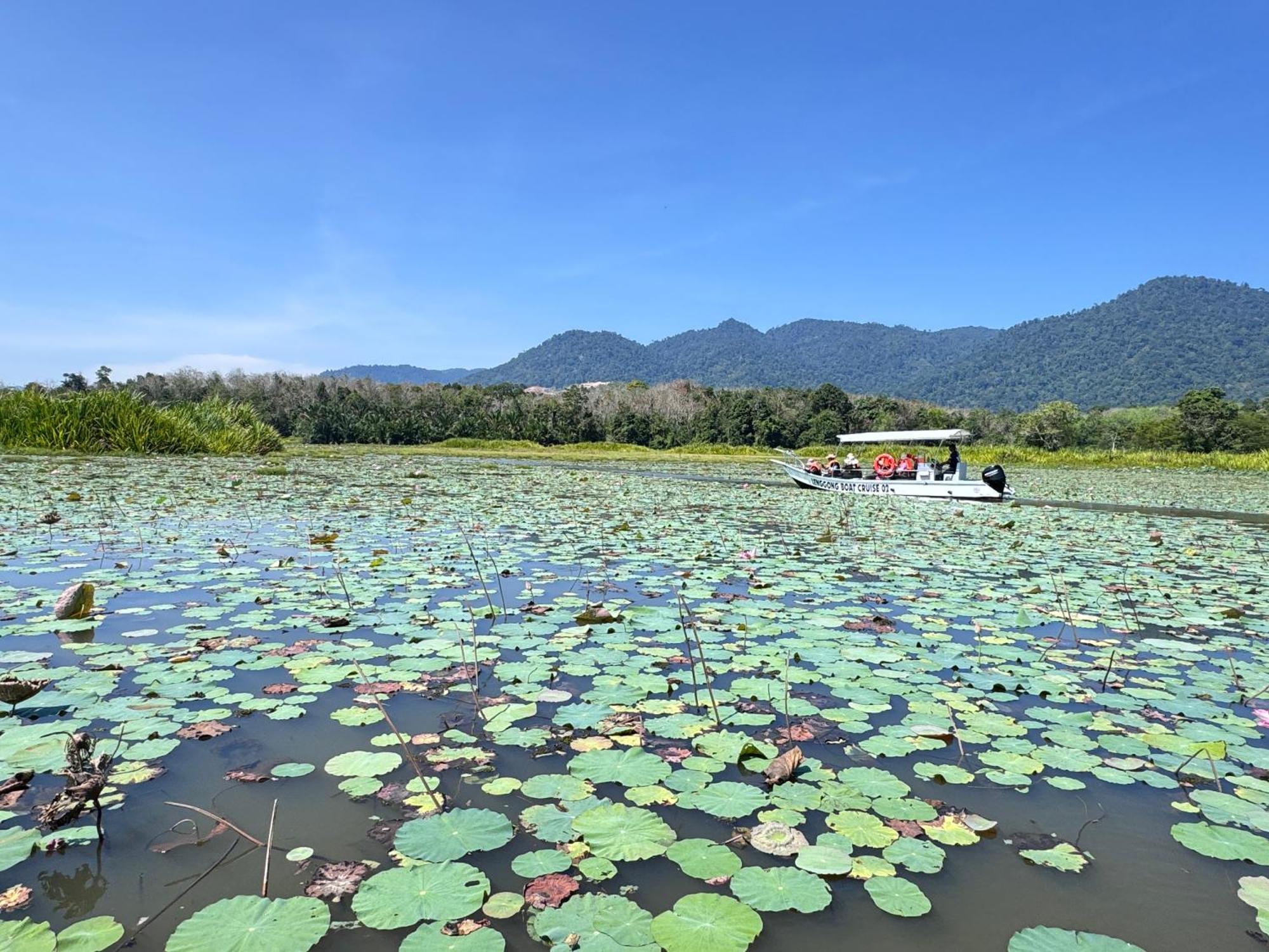 Branda Kampung Sumpitan Lenggong Tiada Sungai Kampong Ulu Jepai Exterior foto